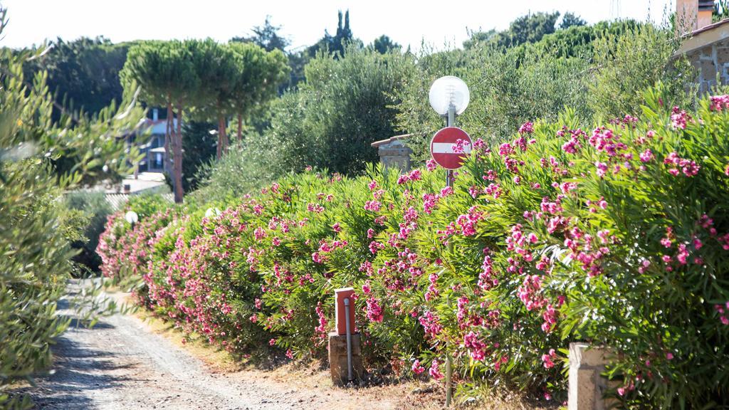 Il Borgo Centro Vacanze Гуардісталло Екстер'єр фото